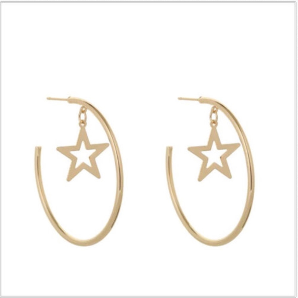 🐶Hoop earrings with dangling star